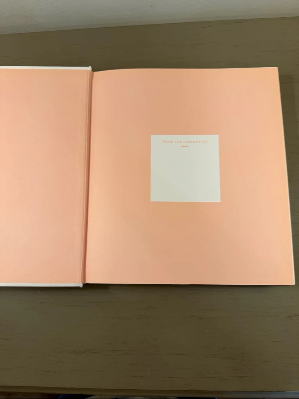 Martha Stewart's Newlywed Kitchen: Recipes for Weeknight Dinners Cookbook EUC